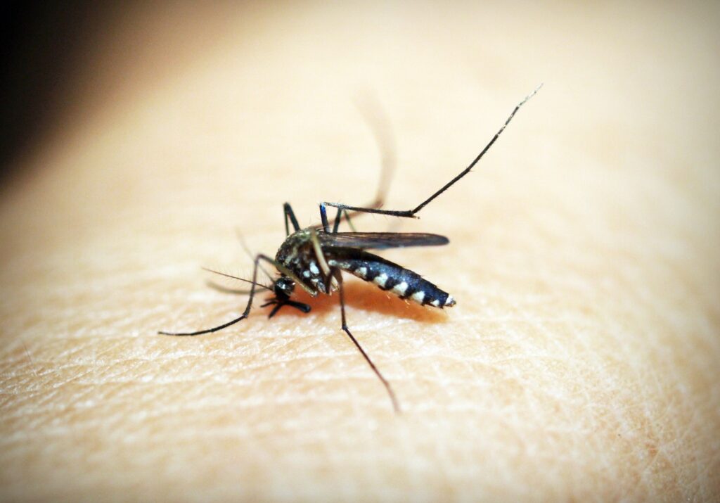 how long before travel malaria tablets